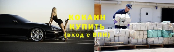 мяу мяу мука Дмитриев