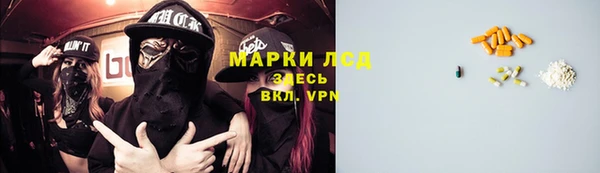 мяу мяу мука Дмитриев