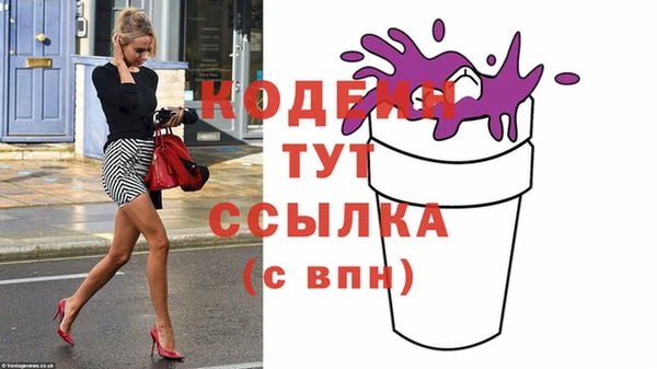 хмурый Дмитровск