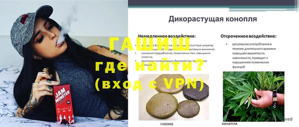 мяу мяу мука Дмитриев