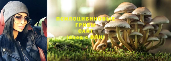 каннабис Дмитров