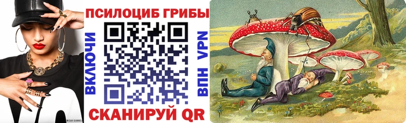 Галлюциногенные грибы Cubensis  Купить закладки  Рославль 